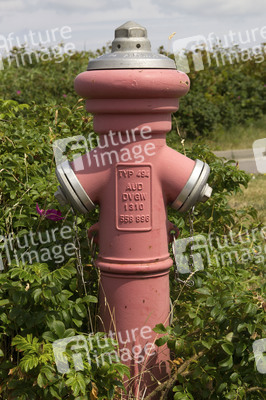 Symbolfoto Hydrant
