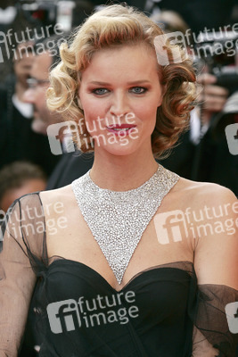 Filmpremiere 'Che', Cannes Film Festival 2008