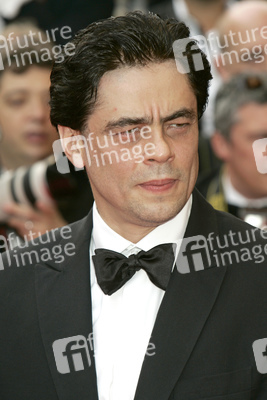 Filmpremiere 'Che', Cannes Film Festival 2008