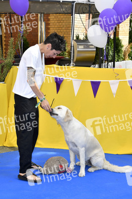 Familiy & Fan Screening von 'Paw Patrol - Der Kinofilm' in Berlin