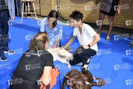 Familiy & Fan Screening von 'Paw Patrol - Der Kinofilm' in Berlin