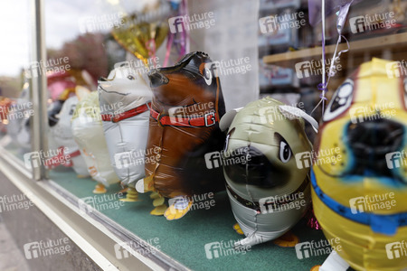 Symbolfoto Hundesteuer