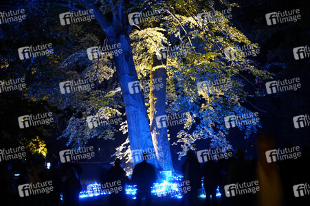 Potsdamer Schlössernacht 2021