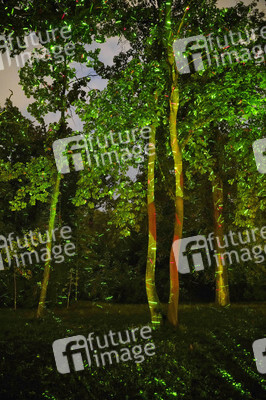 Potsdamer Schlössernacht 2021