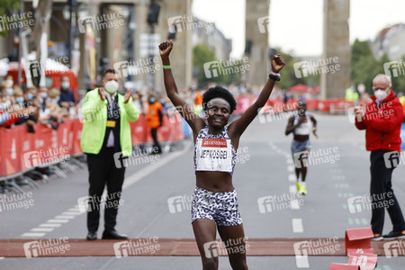 40. Berliner Halbmarathon 2021