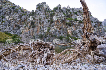 Sightseeing Mallorca