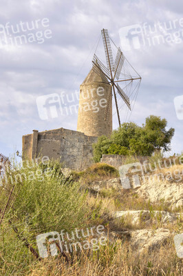 Sightseeing Mallorca