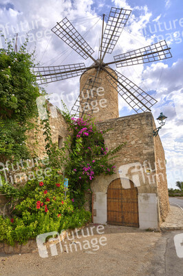 Sightseeing Mallorca