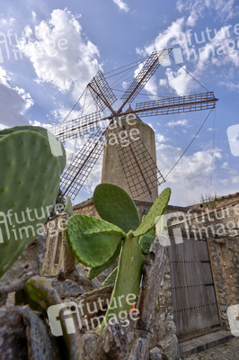 Sightseeing Mallorca