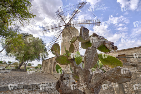 Sightseeing Mallorca