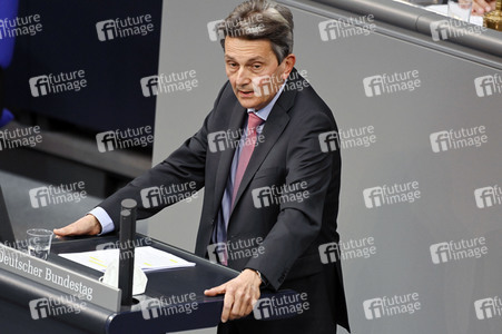 238. Sitzung des Deutschen Bundestages in Berlin