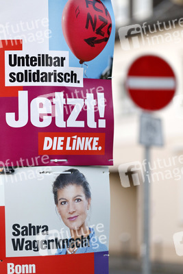 Wahlplakate der Partei Die Linke in Bonn