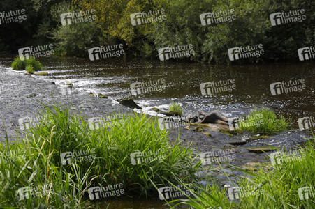 NATURE ART: Flusswehr / River Weir Bodypainting