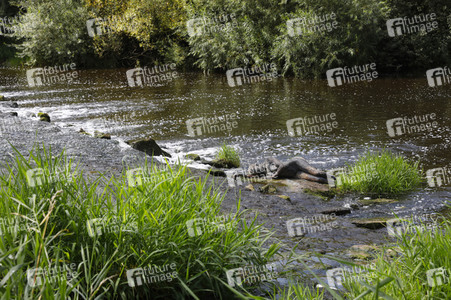 NATURE ART: Flusswehr / River Weir Bodypainting