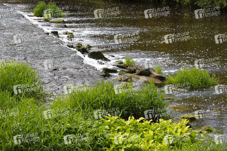 NATURE ART: Flusswehr / River Weir Bodypainting