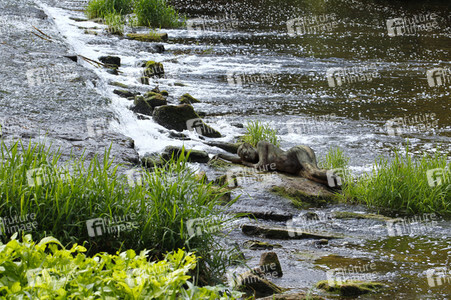 NATURE ART: Flusswehr / River Weir Bodypainting
