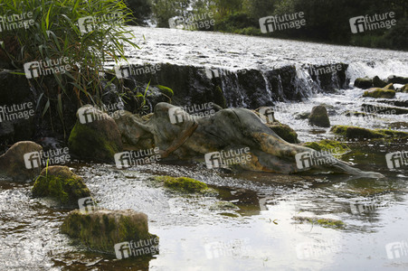NATURE ART: Flusswehr / River Weir Bodypainting