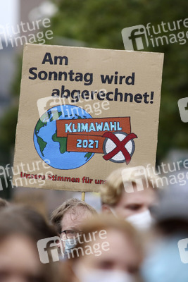 Globaler Klimastreik in Hamburg