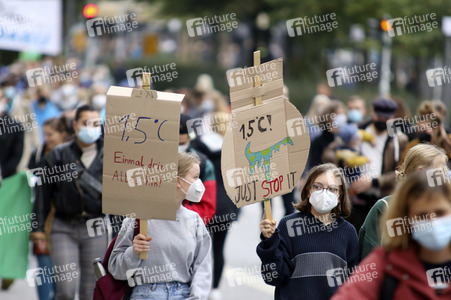 Globaler Klimastreik in Hamburg