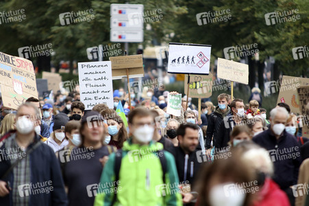 Globaler Klimastreik in Hamburg