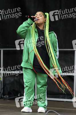 Globaler Klimastreik in Hamburg