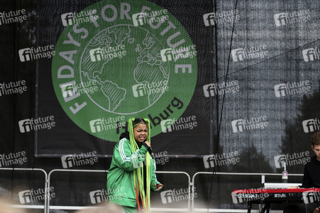 Globaler Klimastreik in Hamburg
