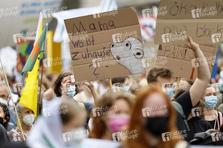 Globaler Klimastreik in Köln