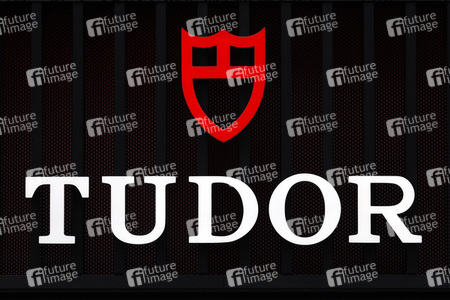 Symbolfoto Tudor