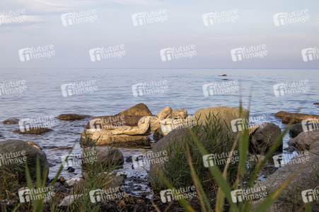 Bodypainting in Nature Kalender 2022