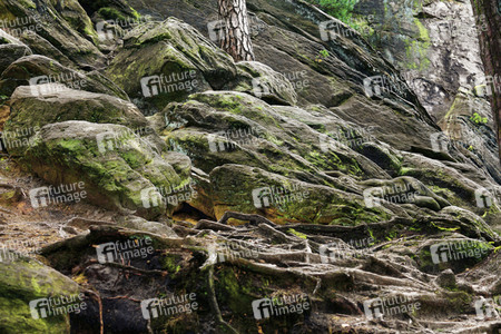 Bodypainting in Nature Kalender 2022