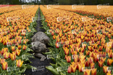 Bodypainting in Nature Kalender 2022