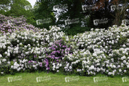 Bodypainting in Nature Kalender 2022