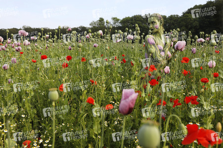 Bodypainting in Nature Kalender 2022