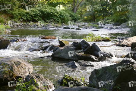 Bodypainting in Nature Kalender 2022