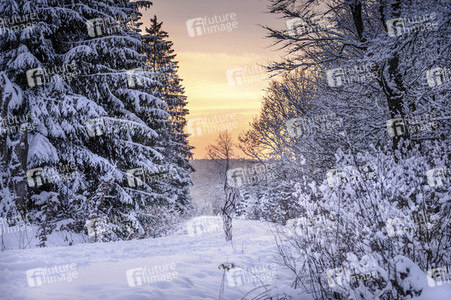 Bodypainting in Nature Kalender 2022