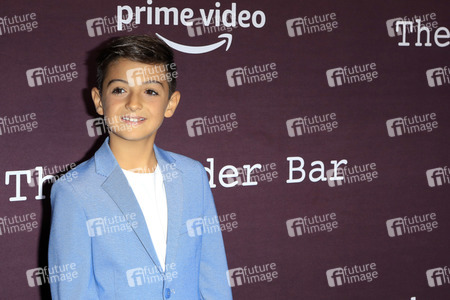 Filmpremiere 'The Tender Bar' in Los Angeles