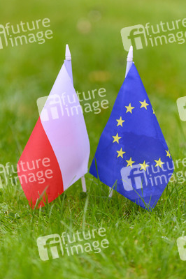 Symbolfoto Polen-EU
