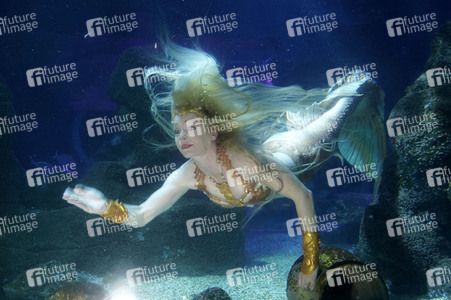 Meerjungfrau taucht ins Atlantis-Becken im AquaDom & Sea Life Berlin