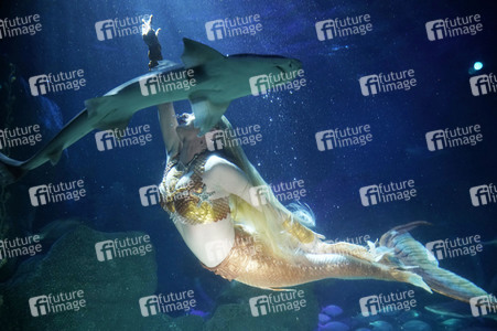 Meerjungfrau taucht ins Atlantis-Becken im AquaDom & Sea Life Berlin