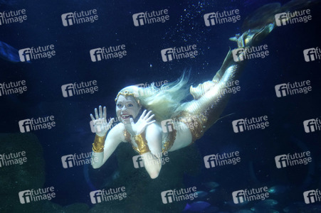 Meerjungfrau taucht ins Atlantis-Becken im AquaDom & Sea Life Berlin
