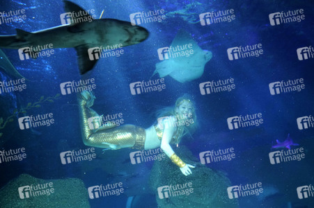Meerjungfrau taucht ins Atlantis-Becken im AquaDom & Sea Life Berlin