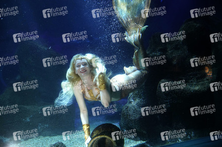 Meerjungfrau taucht ins Atlantis-Becken im AquaDom & Sea Life Berlin