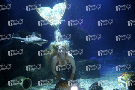 Meerjungfrau taucht ins Atlantis-Becken im AquaDom & Sea Life Berlin