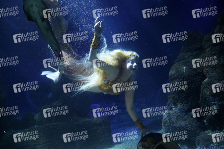 Meerjungfrau taucht ins Atlantis-Becken im AquaDom & Sea Life Berlin