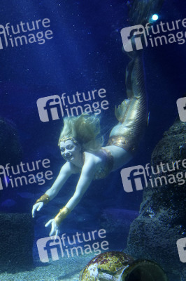 Meerjungfrau taucht ins Atlantis-Becken im AquaDom & Sea Life Berlin