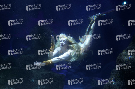 Meerjungfrau taucht ins Atlantis-Becken im AquaDom & Sea Life Berlin