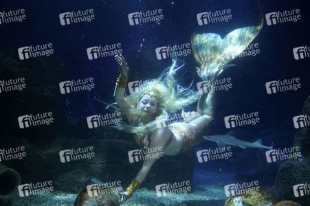 Meerjungfrau taucht ins Atlantis-Becken im AquaDom & Sea Life Berlin