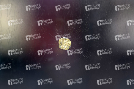 Kunstwerk Rolihlahla in Nürnberg