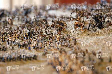 MagicCon 2021 in Bonn