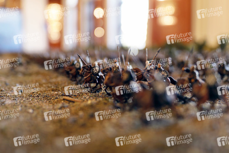 MagicCon 2021 in Bonn